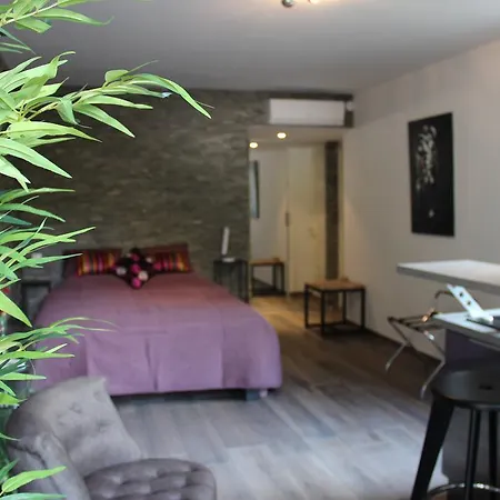 Luxueux Studio Centre Lejlighed Cannes
