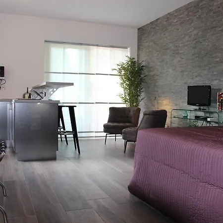 Luxueux Studio Centre Lejlighed Cannes